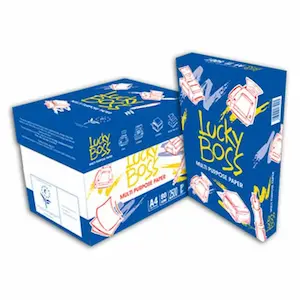 LUCKY BOSS A4 PAPER - 2500 SHEETS